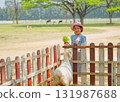 Young Girl and Goat on a Sunny Farm 131987688