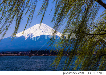 【山梨縣_富士山_河口湖】4月湖畔與富士山交織的日本風景 【山梨縣_富士山_河口湖】4月湖畔與富士山交織的日本風景 131987709