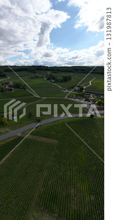 Trois-Puits, Reims, Marne, Grand-Est, France, August, 28th, 2025, Champagne Area, Beautiful Scenic 131987813