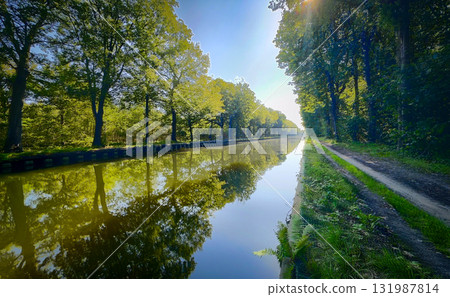 The Serene Canal, Enveloped by Abundant and Lush Greenery, Offers a Picturesque View The Serene Canal, Enveloped by Abundant and Lush Greenery, Offers a Picturesque View 131987814