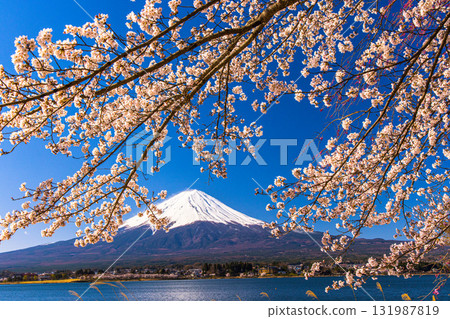 【山梨縣_富士山_河口湖】4月湖畔與富士山交織的日本風景 131987819