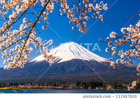 [Yamanashi Prefecture_Mount Fuji_Lake Kawaguchi] A Japanese landscape woven by the lakeside and Mount Fuji in April 131987820