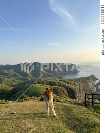 View of the sea from Matengai Cliff 131988011