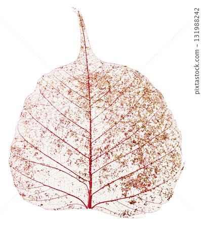 Red Christmas wreath, natural wreath of pine cones and flowers, white background Red Christmas wreath, natural wreath of pine cones and flowers, white background 131988242