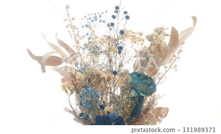白色背景下的乾燥花 白色背景下的乾燥花 131989371