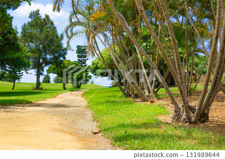 A resort golf course with vibrant park-like grass and palm trees under a refreshing tropical blue sky (Miyakojima City, Okinawa Prefecture) A resort golf course with vibrant park-like grass and palm trees under a refreshing tropical blue sky (Miyakojima City, Okinawa Prefecture) 131989644