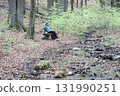 in the forest 131990251