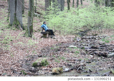 in the forest 131990251