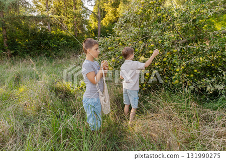 Two children are happily playing outdoors, collecting ripe fruit from a tree in a lush green area. They enjoy a sunny day, surrounded by natures beauty 131990275