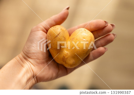 A person holds a heart-shaped potato in their hand, showcasing nature's unusual creations. This potato stands out due to its unique shape and texture, truly captivating A person holds a heart-shaped potato in their hand, showcasing nature's unusual creations. This potato stands out due to its unique shape and texture, truly captivating 131990387