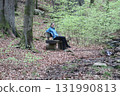 in the forest 131990813