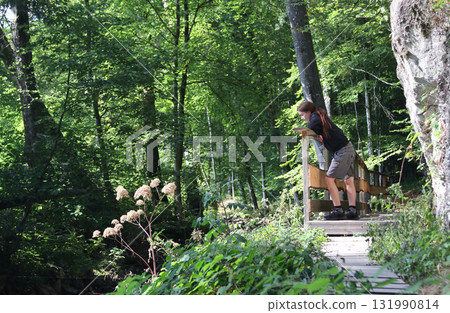 in the forest in the forest 131990814