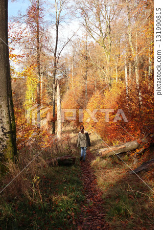 in the forest in the forest 131990815