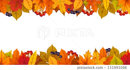 Happy Thanksgiving day and autumn fall season leaves frame border with colorful fall foliage and berries on top and bottom. Cartoon vector horizontal blank template for seasonal banners or invitations 131991086