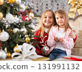 Portrait of girl with her younger sister playing with each other next to the Christmas tree 131991132