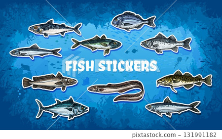 Sea fish stickers pack in ocean or sea underwater landscape, vector set. Tuna, salmon or herring with bream or eel and mackerel or catfish with cod and sardine for sea or ocean fish stickers 131991182