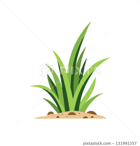 Green Grass Plant Growing in Soil with Natural Fresh Appearance Vector Illustration 131991357