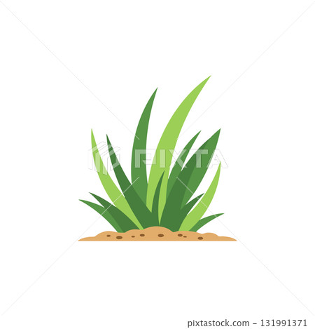 Green grass blades growing on soil vector illustration with natural colors and simple design Green grass blades growing on soil vector illustration with natural colors and simple design 131991371
