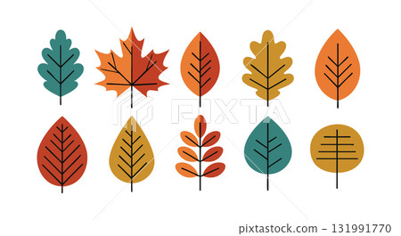 Colorful autumn leaves collection with orange red green tones vector illustration Colorful autumn leaves collection with orange red green tones vector illustration 131991770