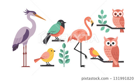 Colorful wild birds collection including flamingo heron owl and songbirds in vector style 131991820