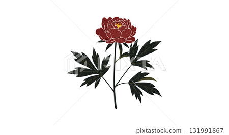 Red Peony Flower Vector with Dark Green Leaves Elegant Floral Illustration Red Peony Flower Vector with Dark Green Leaves Elegant Floral Illustration 131991867