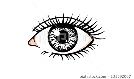 Human eye detailed vector illustration with eyelashes and iris in black and white style 131992007