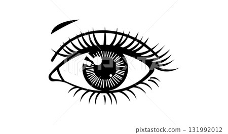 Human eye close-up vector illustration detailed eyelashes and iris design Human eye close-up vector illustration detailed eyelashes and iris design 131992012
