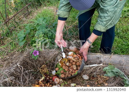 Kitchen waste deposit for compost in the garden Kitchen waste deposit for compost in the garden 131992040