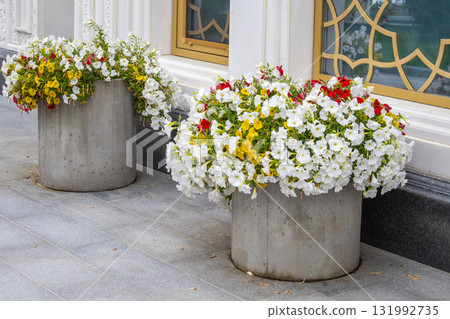Petunias in concrete planters by facade, urban greening, horizontal photo 131992735