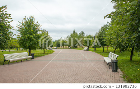 Empty alley in urban park with white benches Empty alley in urban park with white benches 131992736