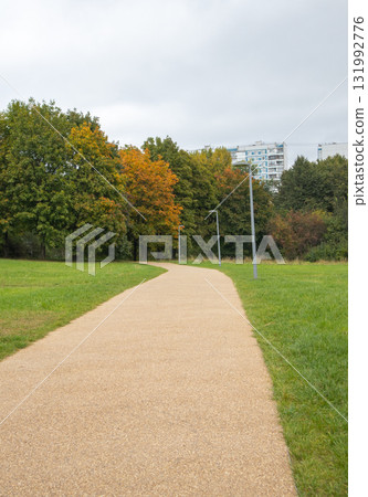 Curved path in urban park in autumn with trees and lampposts 131992776