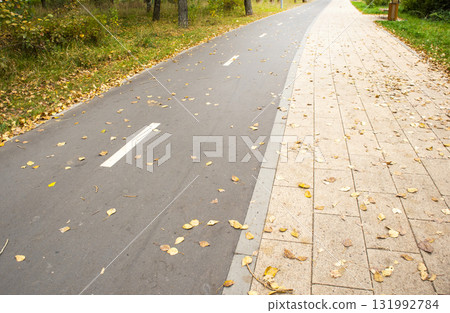 Autumn bike lane and sidewalk with fallen leaves in an urban park 131992784
