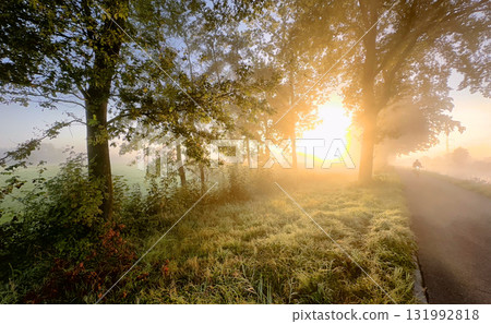 A Serene Sunrise That Blooms Amidst Misty Trees Experience A Calm And Beautiful Morning Landscape A Serene Sunrise That Blooms Amidst Misty Trees Experience A Calm And Beautiful Morning Landscape 131992818