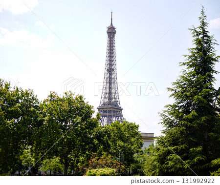 Eiffel Tower framed by green trees in Paris Eiffel Tower framed by green trees in Paris 131992922