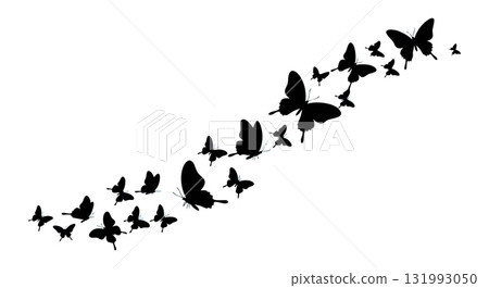 Butterfly silhouettes flying in ascending diagonal pattern vector illustration black shapes Butterfly silhouettes flying in ascending diagonal pattern vector illustration black shapes 131993050