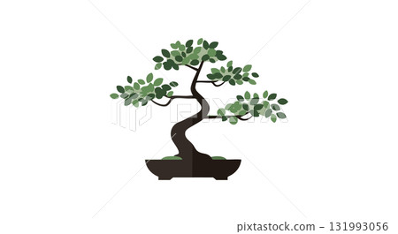 Bonsai tree vector illustration with green leaves in black pot natural art design 131993056