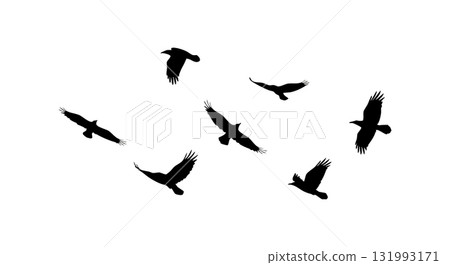 Flying birds silhouette vector illustration in black and white minimal style 131993171