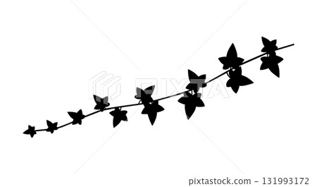 Ivy plant branch silhouette vector with black leaves and stems natural design elements 131993172