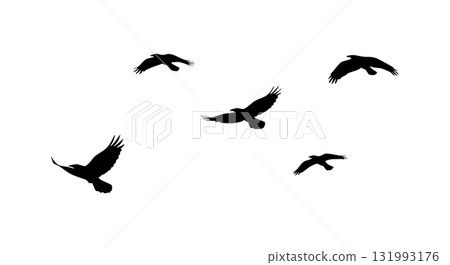 Flying birds silhouette vector in black on white background natural scene Flying birds silhouette vector in black on white background natural scene 131993176