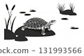 Turtle resting on rock near pond with aquatic plants vector illustration 131993566