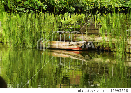 潮子在水鄉茨城皇帝公園_13 131993818
