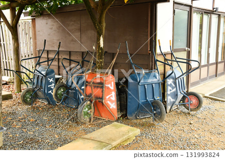 潮子在水鄉茨城皇帝公園_19 131993824