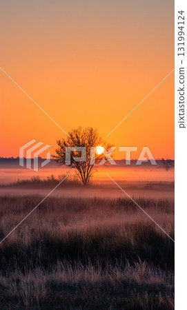 Beautiful sunrise over a solitary tree in a foggy landscape 131994124