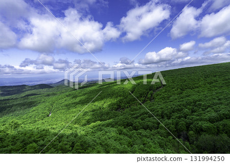 初夏的八甲田 131994250