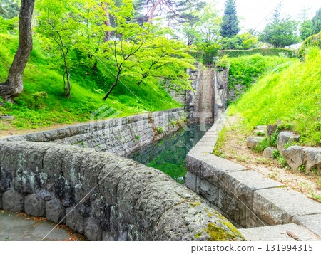 The view of the Asaka Canal surrounded by fresh greenery 131994315