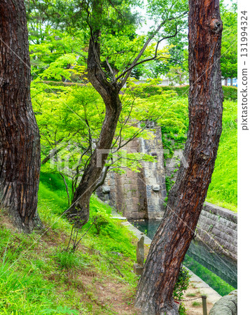 The view of the Asaka Canal surrounded by fresh greenery 131994324