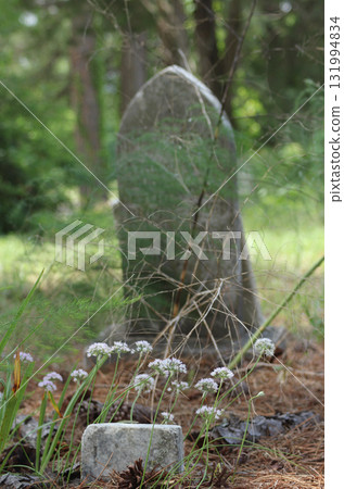 Flowers at Historic Cemetery in Rural East TX Troup City Cemetery 131994834