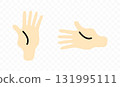 Hand, palm, fingers, spread and open, graphic design. Arm and wrist, gesture, vector design and illustration 131995111