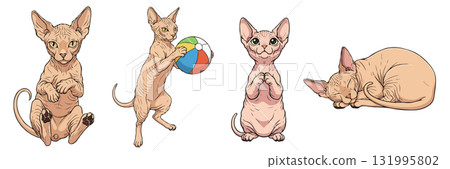 Sphynx cat action and emotion clipart set, isolated on transparent background. 131995802