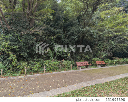 森林公園的長椅和綠色風景 森林公園的長椅和綠色風景 131995898